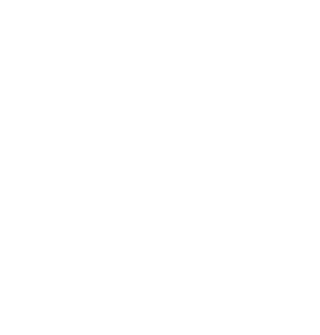bigfish design, digital solutions